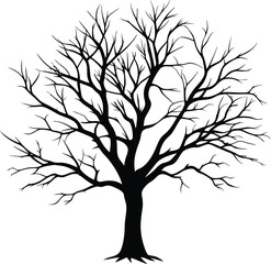 Obraz premium Silhouette of a bare tree