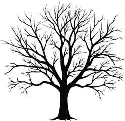 Obraz premium Silhouette of a bare tree