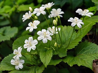Some White Flowers Are Growing Out Of The Green Leaves Ai Generative