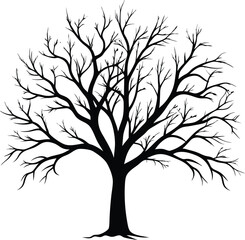 Obraz premium Silhouette of a bare tree