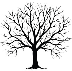 Obraz premium Silhouette of a bare tree