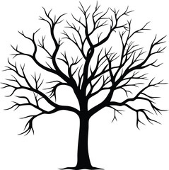 Obraz premium Silhouette of a bare tree