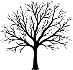 Obraz premium Silhouette of a bare tree
