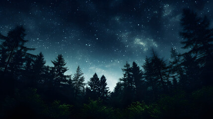 Fototapeta premium Forest mountain nebula sky night summer