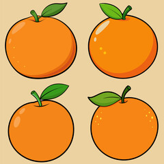 A set of Orange fruits vector art illustrations