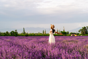 Young woman relaxing and enjoying with Blooming violet fragrant lavender flower fields at sunset