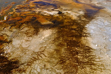 land with sulphur at Yellowstone National Park