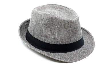 Fedora type fashion hat
