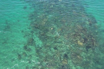 Aerial photo of Pebbly Beach Cairns Queensland Australia