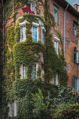 Fototapeta premium An old house overgrown with green leaves Budapest Hungary 23.06.24
