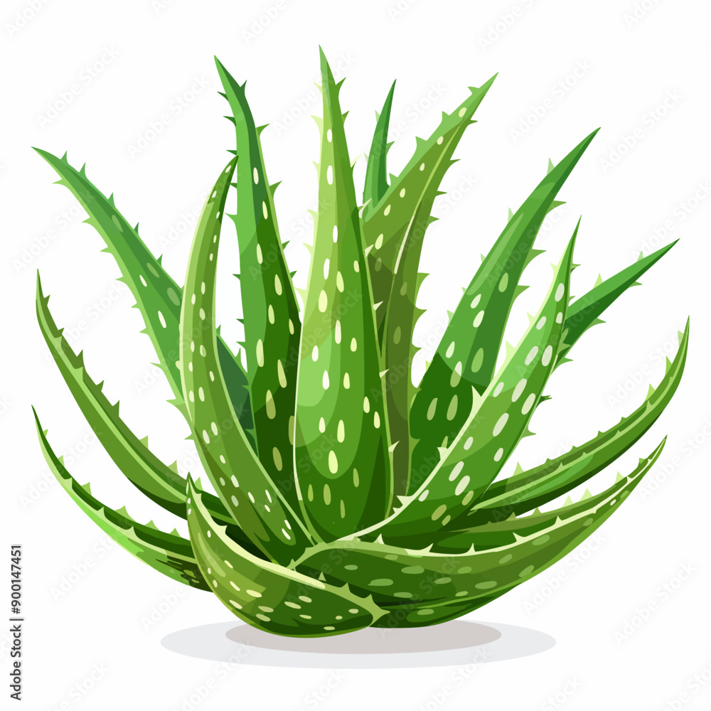 Poster Aloe vera