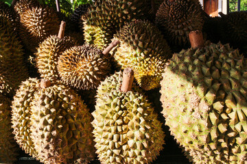 A close-up of several ripe durian fruits, showing their spiky green and yellowish exterior skin. Close up of Durian Fruits piles at a market stall.