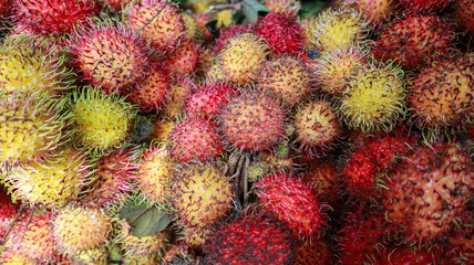 A close up photograph of a pile of fresh rambutans. The fruits are vibrant red and yellow, with a hairy texture. Close Up of Rambutan Fruits texture material background.