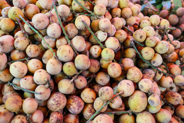 A close-up shot of a pile of langsat fruits. These yellow, tropical fruits are a popular snack and ingredient in many Southeast Asian countries. A Close-up View of a Pile of Langsat Fruits background.