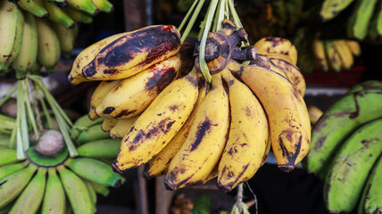 A close-up photo of a bunch of ripe bananas hanging in a market. The bananas are yellow and green and look very fresh. Close-up of a Bunch of Ripe Bananas