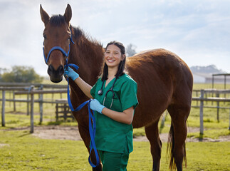 Horse, vet and portrait on farm for health, examination or care of stallion at ranch. Appointment,...