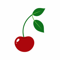 cherry with leaf
