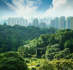 city park