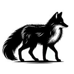 Obraz premium fox silhouette, black silhouette of fox.