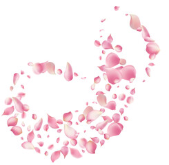 Pink rose petals fall on abstract floral background with gorgeous rose petal greeting card design,Flower flying background,cherry blossom