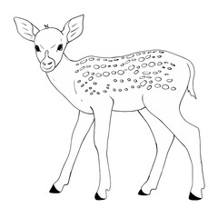 line illustration of deer isolated