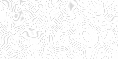 Vector white wave line geography landscape Topo contour map on white background. Geographic mountain relief diagram line wave carve pattern. Topographic world map contour lines map texture.