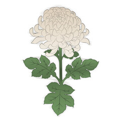 Retro Style Yellow Chrysanthemum Illustration