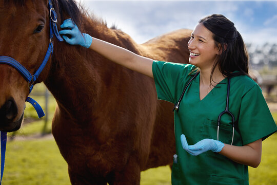 Horse, vet and stroke on farm for care, examination and health of stallion at ranch. Appointment, animal and woman doctor in countryside for check up, inspection and consultation for pet comfort