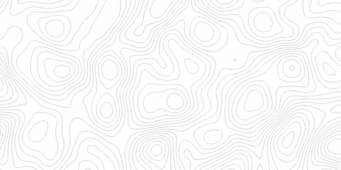 Topography wave line vector grid map. white wave line geography landscape Topo contour map on white background. Geographic mountain relief diagram line wave carve pattern. 