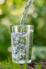water pouring into glass on log with fern leaf