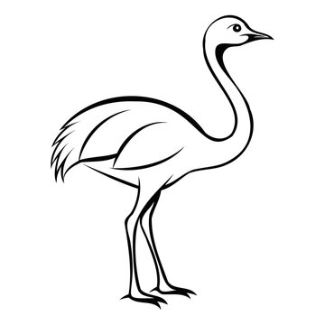 recommend clip art: Ostrich outline line art drawing vector illustration