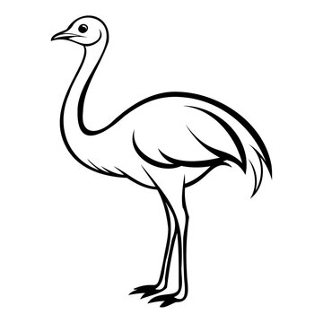 recommend clip art: Ostrich outline line art drawing vector illustration
