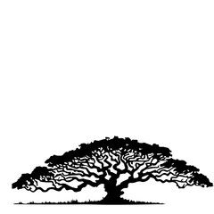 Silhouette of a Large Tree