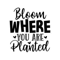 Bloom where you are planted