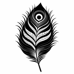 peacock feather on black background vector illustration 