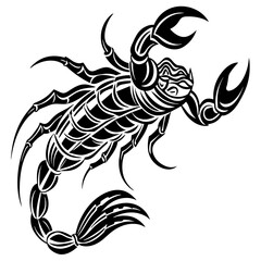 hand drawn vector illustration of fish 