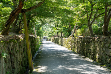 京都　夏の宇治