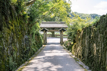 京都　夏の宇治