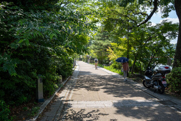 京都　夏の宇治