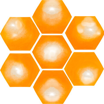 Bee Honey cilpart Illustration