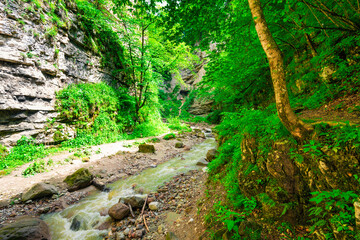 A mountain river with a high steep bank in clear sunny weather