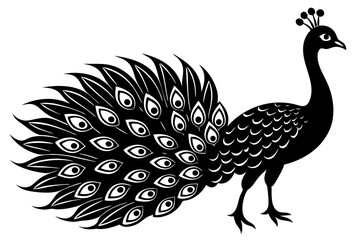 Peacock silhouette isolated on a white background. Vector illustration