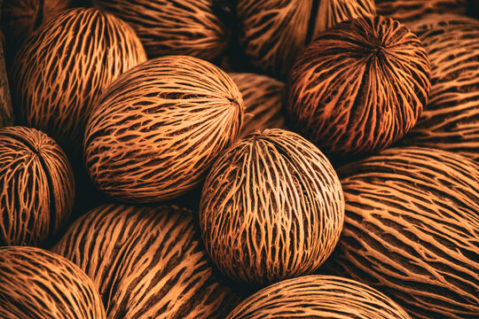 Cerbera odollam seeds or pong pong seeds from suicide tree. Close up of pong pong plant seeds showing beautiful patterns used for garden decoration. brown tone.