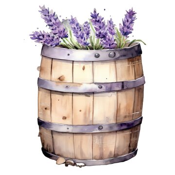 recommend clip art: Lavender barrel watercolor illustration, lavender clipart