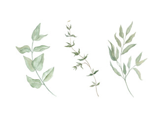 Hand-Drawn Watercolor Green Branches