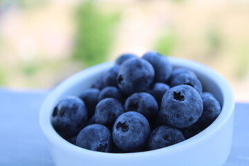 blueberries in a bowl, nature background