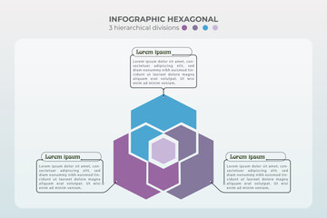 Fresh and concise infographic design Vector infographic template 3 elemeant