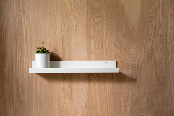White shelf with a small green plant in the white pot on wooden wall. Minimalist design for a product placement
