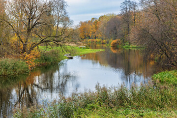 A view of a river flowing through a lush green forest in autumn