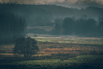 Jesienne mgły © Robert